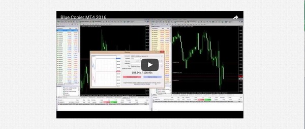 Best automated forex trading platform