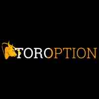 TorOption Review